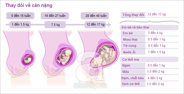 Thay đổi của cơ thể khi mang thai 2